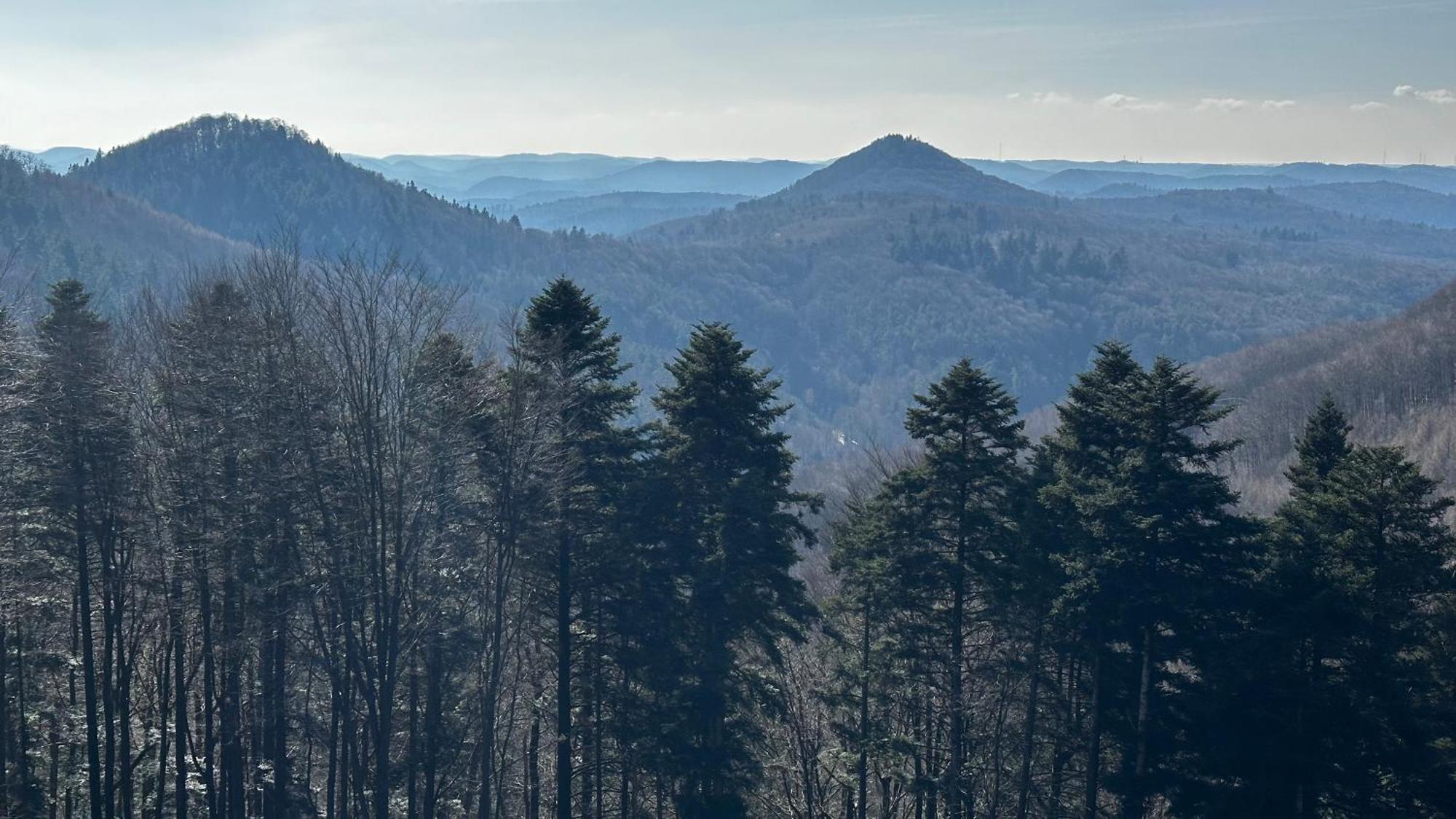 Ferienwohnung Weltachs Hochspeyer Exteriör bild